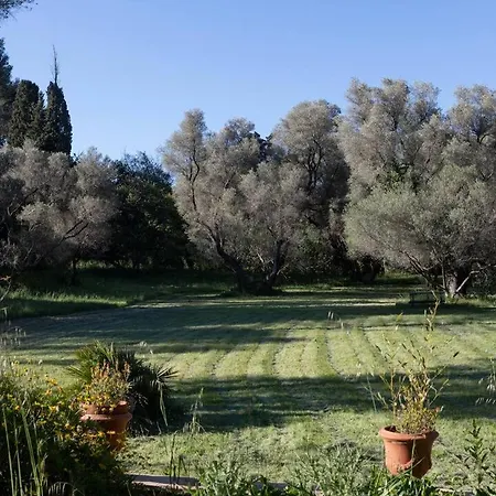 Villa Magdala-Chambre D'Hote 2 Hyeres